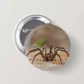 Spinne a button (Vorne & Hinten)