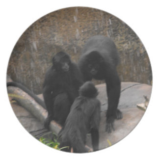 Spinne-Affe Abendessen-Waren Melaminteller