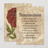 Spinne auf Blume Ankündigung (Vorne/Hinten)