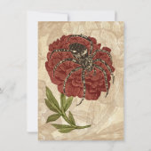 Spinne auf Blume Ankündigung (Rückseite)