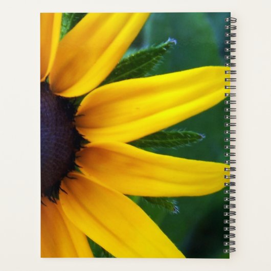 Spinne auf einem Sonnenblumenspiralplaner kriechen Planer (Rückseite)