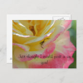 Spinne auf einer Rose Postkarte (Vorne/Hinten)