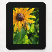 Spinne auf Sonnenblumenmousepad Mousepad (Vorne)
