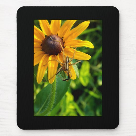 Spinne auf Sonnenblumenmousepad Mousepad (Vorne)