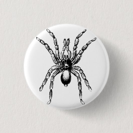 Spinne Button (Vorderseite)
