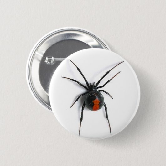 Spinne Button (Vorne & Hinten)