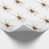 Spinne Geschenkpapier (Ecke)