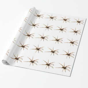 Spinne Geschenkpapier