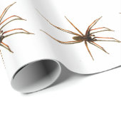 Spinne Geschenkpapier (Rolleneckpunkt)