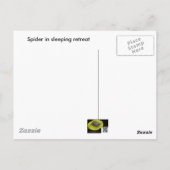 Spinne in Retreat Postkarte (Rückseite)