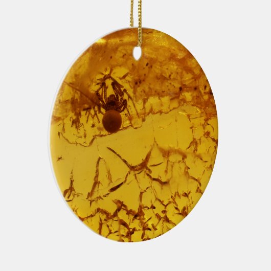 Spinne innerhalb des Bernsteines Keramikornament (Rechts)