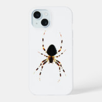 Spinne iphcnm