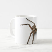 Spinne Kaffeetasse (Vorderseite Links)