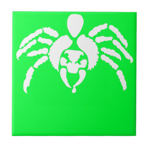 Spinne mit Gift auf Knall Fliese