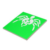 Spinne mit Gift auf Knall Fliese (Seite)
