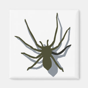 Spinne mit Schattenmagneten Magnet