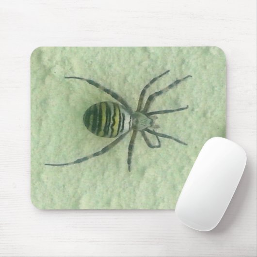 Spinne Mousepad (Mit Mouse)