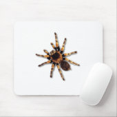 Spinne Mousepad (Mit Mouse)