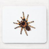 Spinne Mousepad (Vorne)