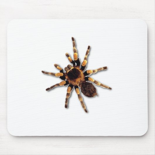 Spinne Mousepad (Vorne)