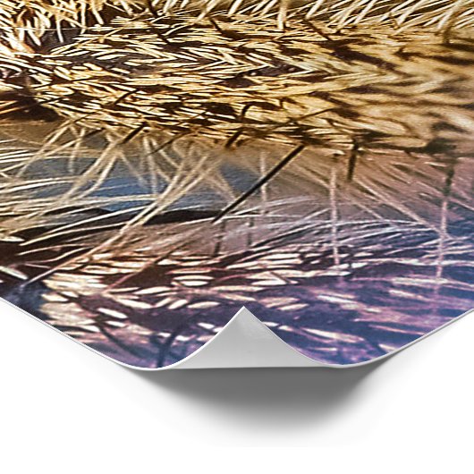 Spinne Poster (Ecke)