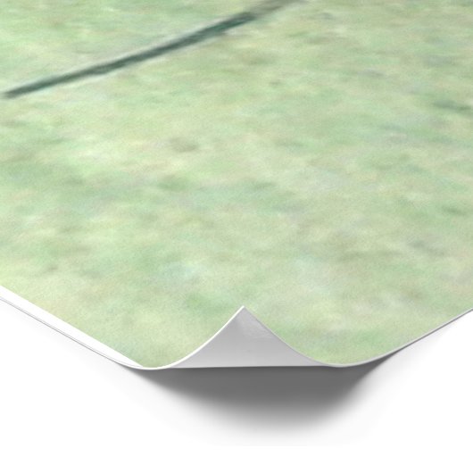 Spinne Poster (Ecke)