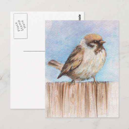 Spinne Postkarte (Vorne/Hinten)