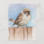 Spinne Postkarte (Vorderseite)