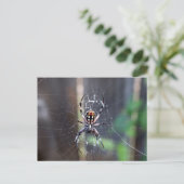 Spinne Postkarte (Stehend Vorderseite)