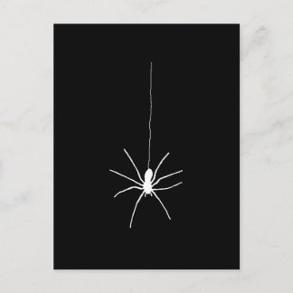 Spinne Postkarte