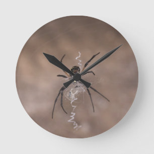 Spinne Rund Wanduhr