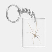 Spinne Schlüsselanhänger (Vorderseite links)