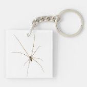Spinne Schlüsselanhänger (Rückseite)
