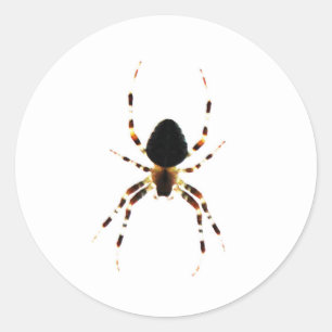 Spinne st arc3 runder aufkleber