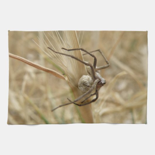 Spinne und Ei Sac Küchentuch (Horizontal)