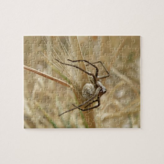 Spinne und Eierpuzzle Puzzle (Horizontal)