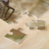Spinne und Eierpuzzle Puzzle (Seite)