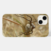 Spinne und Eiersac Case-Mate iPhone Hülle (Rückseite (Horizontal))