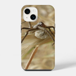 Spinne und Eiersack iPhone 14 Hülle