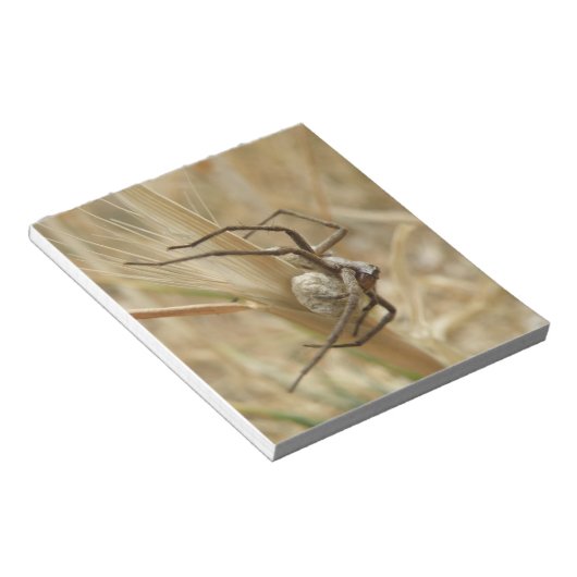 Spinne und Eierstich Notizblock (angewinkelt)