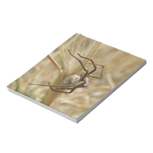 Spinne und Eierstich Notizblock (Rotiert)