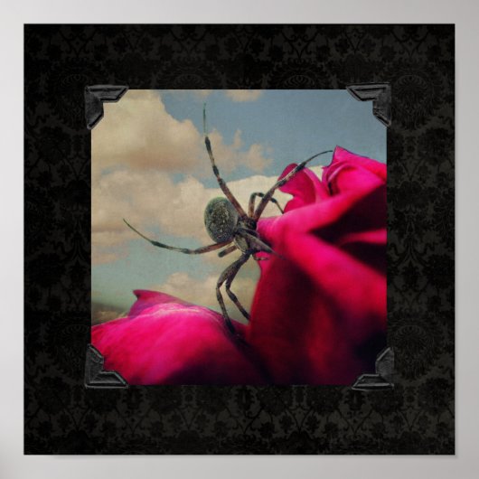 Spinne und Rote Rose Halloween Poster (Vorne)