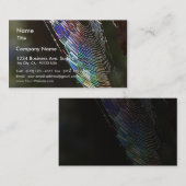 Spinne Visitenkarte (Vorne/Hinten)