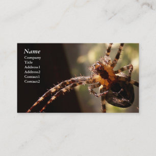 Spinne - Visitenkarten Visitenkarte