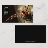 Spinne - Visitenkarten Visitenkarte (Vorne/Hinten)