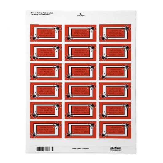 Spinnen Adressaufkleber (Vorne)