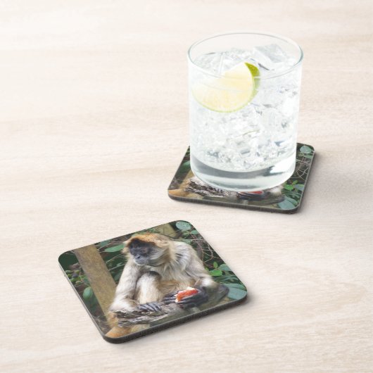 Spinnen-Affe-Untersetzer Getränkeuntersetzer (Rechte Seite)