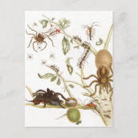 Spinnen, Ameisen und Kolibris auf einem Zweig von