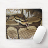 Spinnen-Ball-Pythonschlange Mousepad (Mit Mouse)