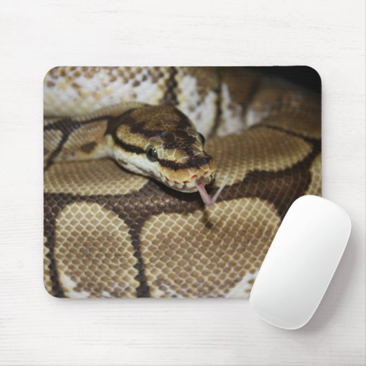 Spinnen-Ball-Pythonschlange Mousepad (Mit Mouse)
